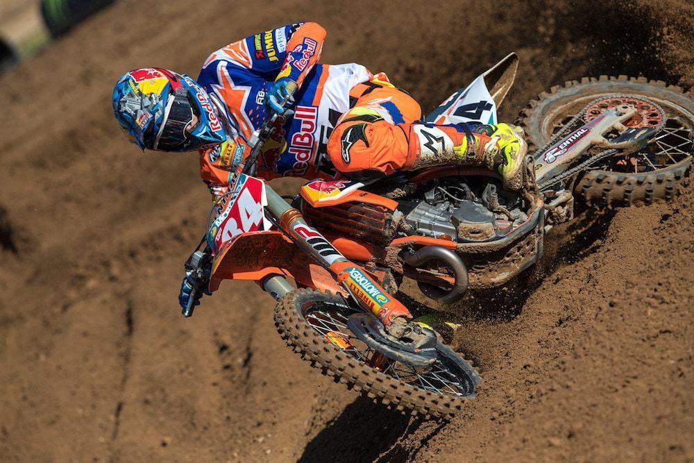 Herlings