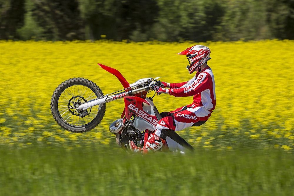 Gas Gas EC 300 MY 2019