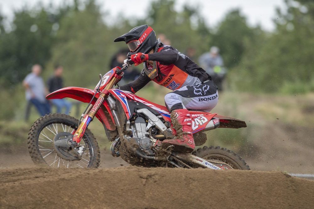 Gajser