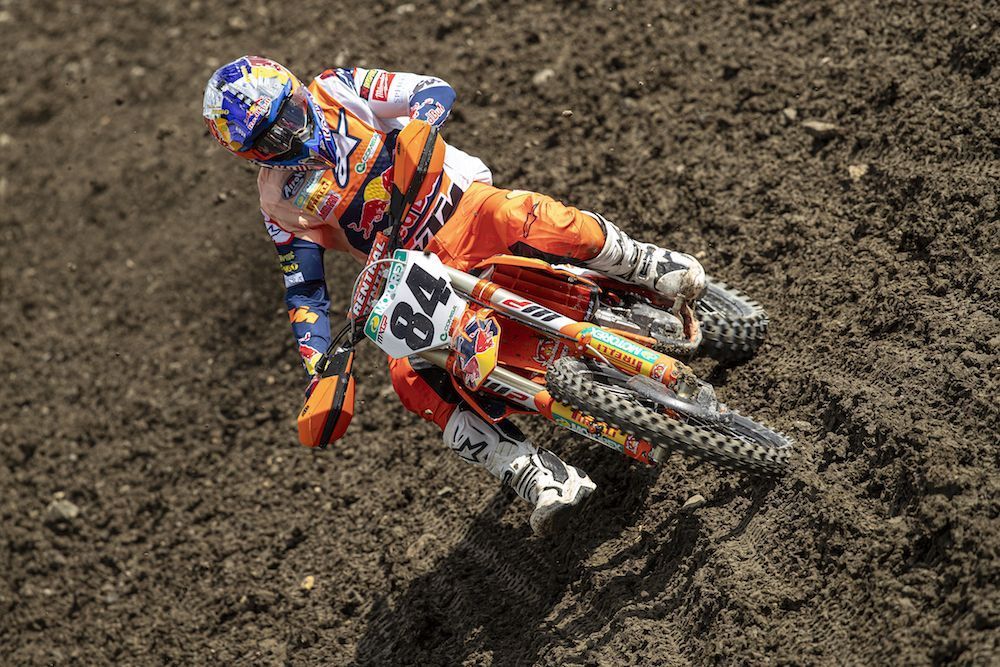Herlings