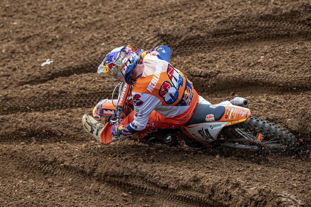 Herlings